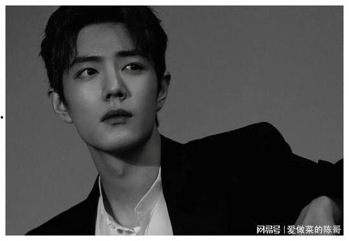 知名演员爆料肖战视频,知名演员爆料视频引发热议 第3张 知名演员爆料肖战视频,知名演员爆料视频引发热议 第3张