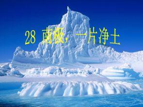 南极最新爆料视频网红,网红带你揭秘神秘极地世界